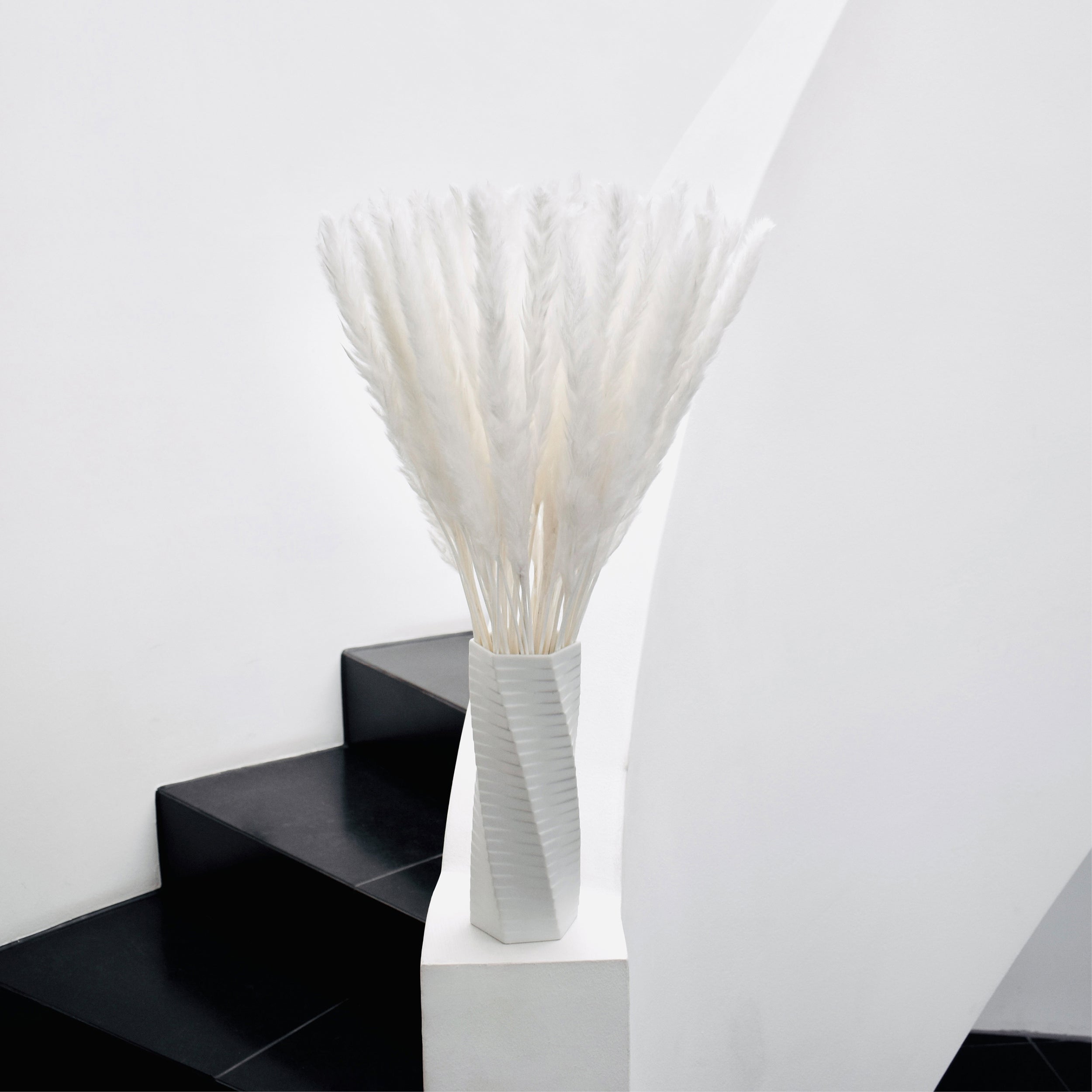 Pampasgras Natur – Getrocknetes Ziergras für Vase & Dekoration, Boho Wohnaccessoire